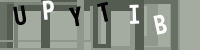 servertimber